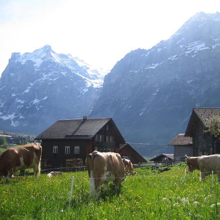 Chalet Baergblick Grindelwald Exterior foto